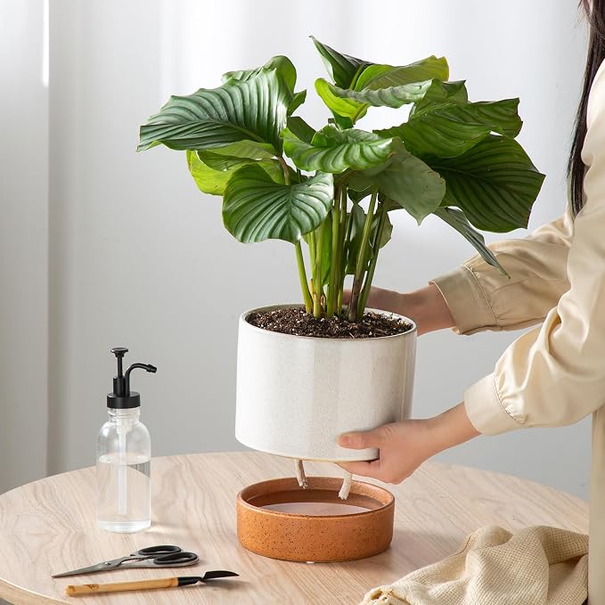 8 Inch Ceramic Self Watering Planter with Drainage Hole, Grey | Indoor Plant Pot with Water Storage Plus - for African Violet, Herbs & Pothos - Home & Office Decor, Cylinder Round