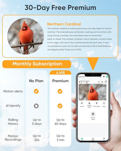 Bird Feeder with Camera Solar Powered: Smart Hummingbird Feeder for Backyard Tree - 2K Live AI Identify Auto Capture Bird Video - WiFi Bird Watching Feeders Gift for Mom Dad