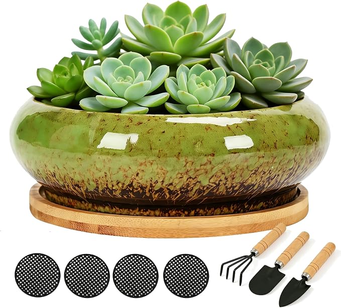 Drzewo Succulent Pots, Succulent Pots with Drainage & Bamboo Tray, 7-Inch Ceramic Drip Glazed Shallow Planter Container Bowl for Indoor Outdoor Plants, Decorative Garden Cactus Flower