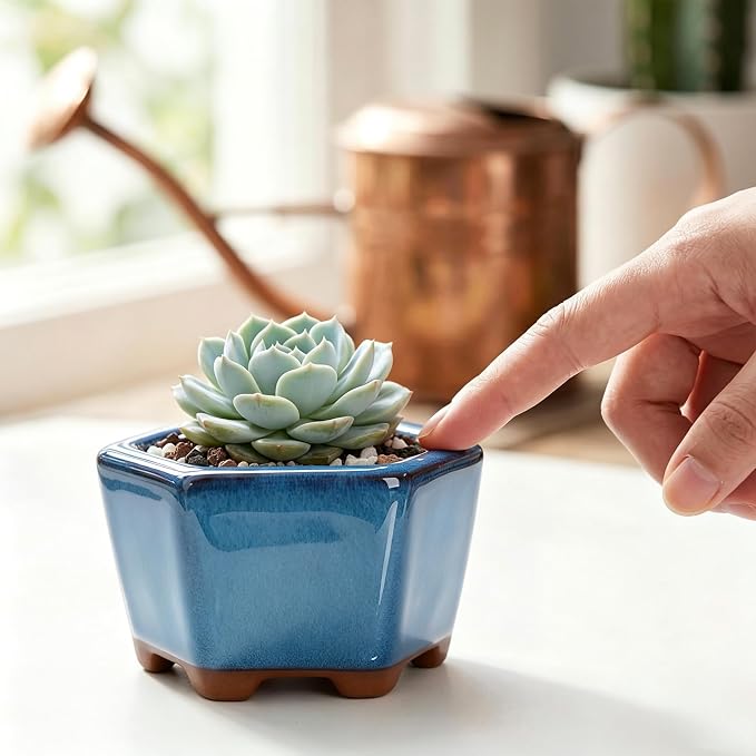 6 Pack Bonsai Pot Planter, 3" 4" Ceramic Glazed Succulent Pots | Small Succulent Planters with Drainage, for Indoor Outdoor Plants, Cactus, Flowers