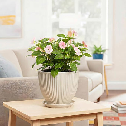 Ceramic Flower Pots, 8 Inch Plant Pot with Drainage Hole and Saucer, Modern Planters for Indoor Plants, Round Indoor Pots for Plants, Office Home Decor, Plant Lover Gifts, Cream White
