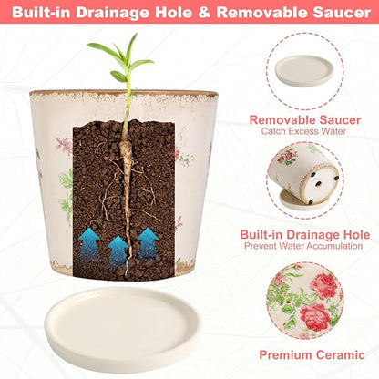 Ceramic Flower Pots For Indoor Plant, 5.5 Inch Small Ice Crack Plant Pots With Drainage Hole & Saucer, Decorative Vintage Planters For Succulent Herb Cactus Mint Basil, Garden Pot For Home Decor
