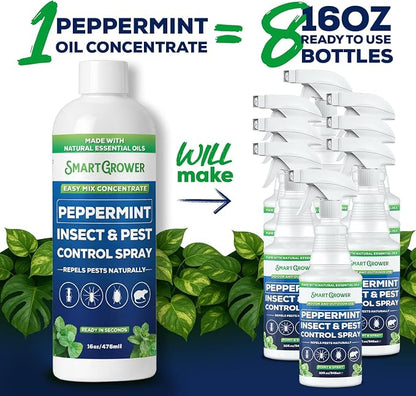 Peppermint Insect & Pest Control Best Value Concentrate - Repels Insects & Pests for Home, Indoor, Outdoor, Garden - Maximum Strength Concentrate (Makes Two Gallons RTU) 16 oz