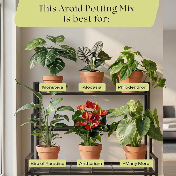 Rosy Soil Aroid Soil Mix, Chunky Biochar Potting Mix, 4 Quarts | For Monstera, Philodendron, Anthurium & Tropical Plants - Peat-Free, Microbially Active, Superior Aeration & Drainage