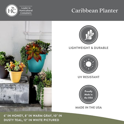 The HC Companies Caribbean Planter Pot - Outdoor & Indoor Plant Pot with Drainage Hole & Plug - Rolled Rim Plastic Pots for Plants & Flowers - Decorative Plant Pot (12" Pink Rose, Pack of 1)