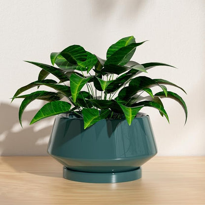 10 Inch Green Ceramic Planter with Drainage Hole and Saucer | Ideal for Indoor and Outdoor Plants, Modern Home Decor, Round, Gloss Green