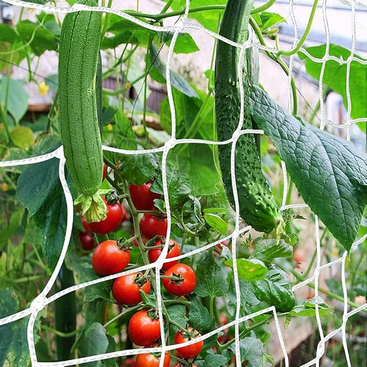 Trellis Netting, CANAGROW Heavy-Duty Garden Plant Trellis Netting for Climbing Plants, Outdoor Indoor Grow Net for Beans Tomatoes Peas Pumpkin Flowers, 𝟔 𝐱 𝟏𝟓𝐟𝐭, Pack of 4