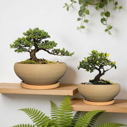MUZHI 2 Pack 8+6 Inch Plant Pot - Natural Unglazed Ceramic Bonsai Pot with Bamboo Saucer, Large Vintage Clay Shallow Planter Pot with Drainage Hole