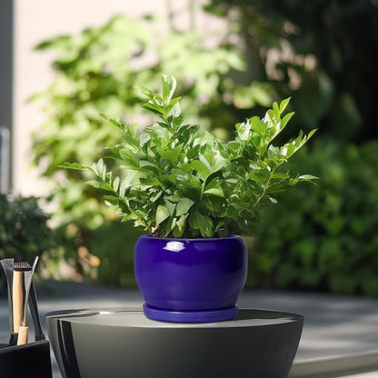 SQOWL Ceramic Planters for Indoor Plants - 6 Inch Plant Pot with Drainage Hole and Saucer, Round Small Planter, Modern Decorative Flower Pot Outdoor, Living Room Decor, Garden Gifts for Women, Blue