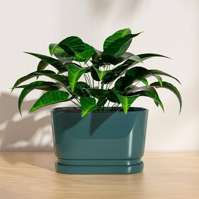 8.9" Rectangular Ceramic Planter with Drainage and Saucer, Green | Indoor Outdoor Use, 8.9"L x 4.5"W x 5.3"H, Modern Home Decor, Window Box Planter, Green Glossy Finish