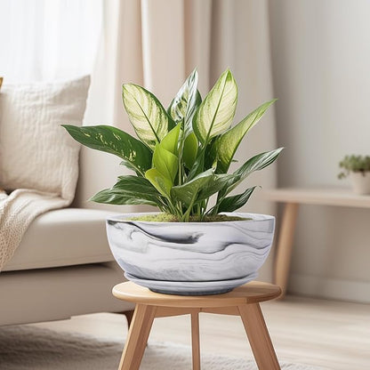 G EPGardening Bonsai Pots, 8 Inch Marble Pattern Ceramic Succulent Pot with Drainage Hole and Plant Saucer, Large Round Planter for Indoor Outdoor Plants, Modern Flower Pot, Plants Lovers Gifts, Grey
