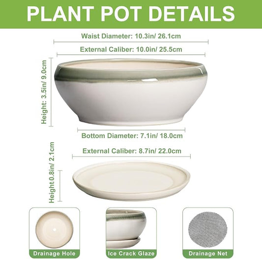 SQOWL Bonsai Pots Ceramic - 10 Inch Succulent Planters for Indoor Plants Outdoor, Shallow Round Planter with Drainage Hole and Saucer, Ceramic Planter Bowl, Office Decor, Gifts for Women, Gray-Beige