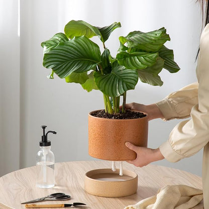 8 Inch Ceramic Self Watering Planter with Drainage Hole Terracotta | Indoor Plant Pot with Water Storage Plus - for African Violet, Herbs & Pothos - Home & Office Decor, Cylinder Round