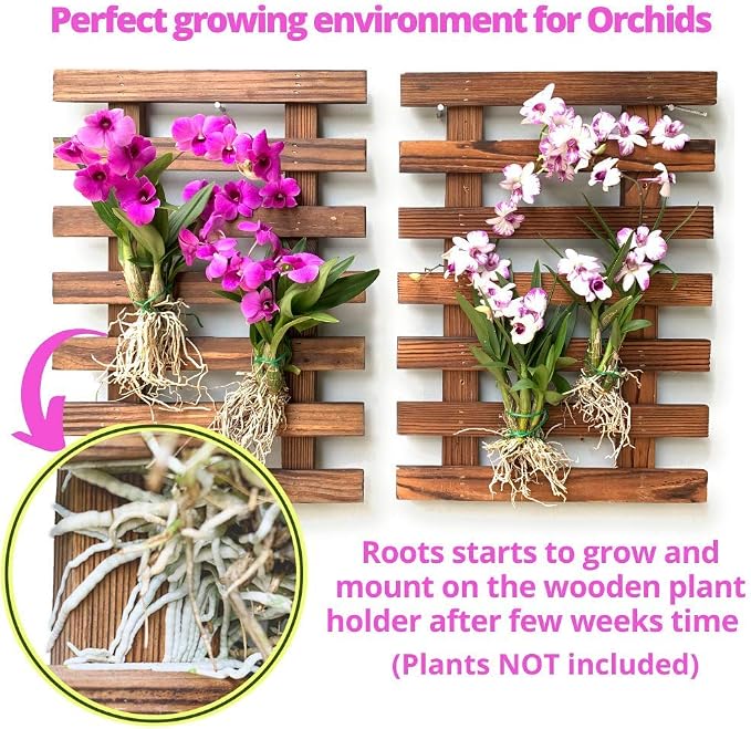 ShopLaLa Wooden Wall Planter (40cm, 4 Pack) Hanging Planters for Indoor | Air Plant Succulent Orchid Holder, Live Vertical Garden Wall Mounted Plant Stand, Wall Christmas Outdoor Decor