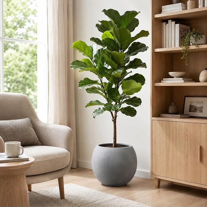 16" Diameter 12" Pot Opening Modern Round Fiberstone Planter with Drainage Hole& Rubber Plug, Indoor/Outdoor Plant Pot for Home Patio Garden, Ideal for Artificial Plants- Medium, Grey