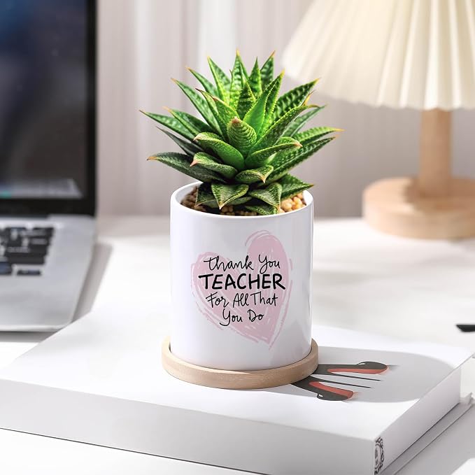 Teenyyou 6 Pcs Sublimation Flower Pot Blanks Mini 3.2 in Garden Ceramic Succulent Planter Pot with Bamboo Tray with Drainage Hole Thank You Gifts for Employee Appreciation Plant Lover