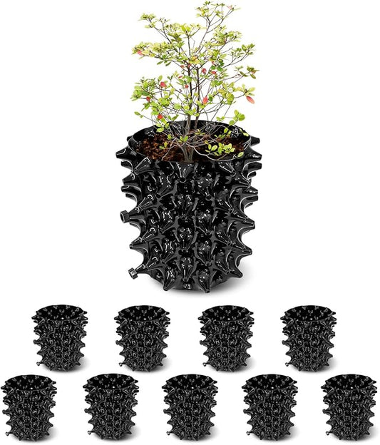RooTrimmer 1 Gallon Air Pruning Containers, New Plastic Nursery Pots, Fruit Vegetable Garden Self-Planting Pots, Black (1G-10P)