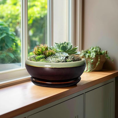 SQOWL Succulent Planters 10 Inch - Ceramic Bonsai Pots with Drainage Hole and Saucer, Shallow Indoor Planter, Round Succulent Pot, Bowl Planter Outdoor, Porch Decor, Gift for Plant Lover, Green-Brown