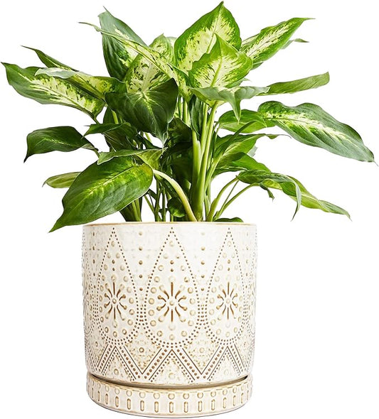 8 Inch Indoor Plant Pot with Drainage Holes and Saucers, Ceramic Planter for Plants, Succulent Orchid Flower Pots
