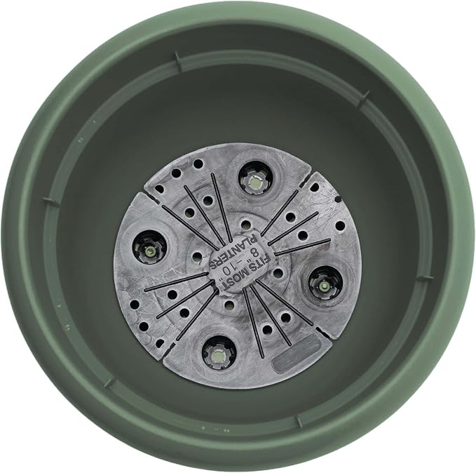 Bloem Ariana 6" Plastic Self-Watering Planter, Basil, 4-Pack | Self-watering disk at the bottom of each pot that acts as a water wick and reservoir for optimal plant health