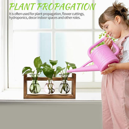 Plant Propagation Station Plant Terrarium Unique Birthday Gifts for Women | Plant Lovers Home Office Decor Planter with Wooden Stand - 3 Bulb Glass Vase