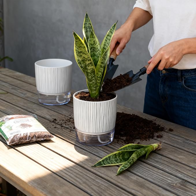 3 Pack Self Watering Pots Set, 5.5 Inch Self Watering Pots for Indoor Plants, Planter Pot with Wick Rope and Reservoir for African Violet, Spider Plant, Orchid