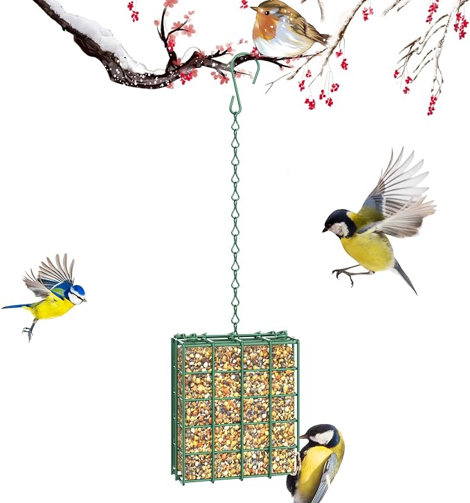 Bird Feeder for Outdoors, Suet Feeder for Outside Hanging Suet Basket Cage | Adjustable Chain Hanging for Garden Yard Outside - Suet Cake Feeders Squirrel Proof birdfeeder