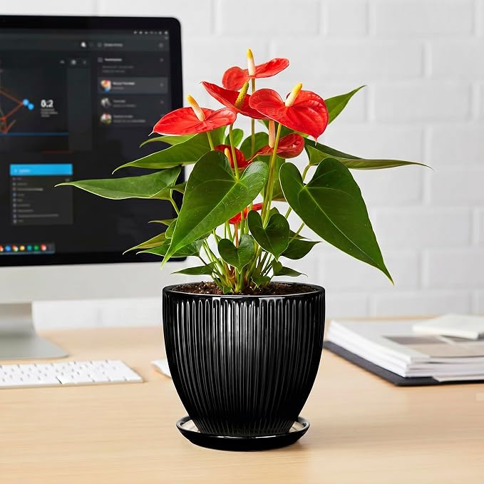 6 Inch Ceramic Planter, Indoor Plant Pots for Small Plants, Decorative Flower Pots with Drainage Hole and Saucer, Round Pot for Plants, Office Bathroom Decor, Gifts for Plant Lovers, Black