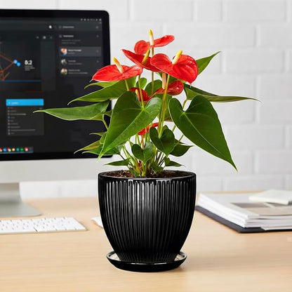 6 Inch Ceramic Planter, Indoor Plant Pots for Small Plants, Decorative Flower Pots with Drainage Hole and Saucer, Round Pot for Plants, Office Bathroom Decor, Gifts for Plant Lovers, Black