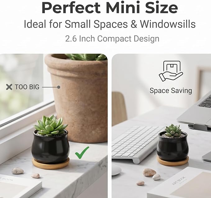 SHECIPIN 2 Pack Succulent Pots, 2.5 Inch Mini Ceramic Pots for Flower or Cactus Plants with Drainage Hole,Plants Not Included (Black)