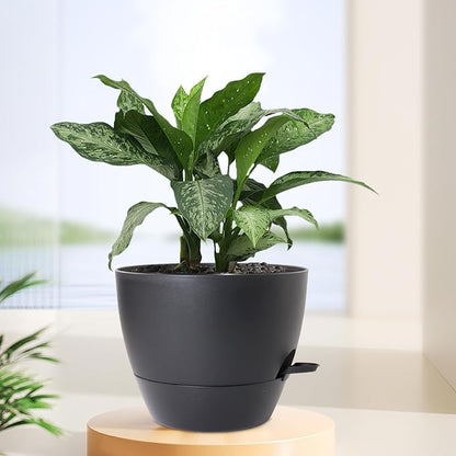 Meowell 12 inch Large Self Watering Pots for Indoor Outdoor Plants, Flower Plant Pots with Mesh Drainage Holes for Garden House, Plastic Planters with Reservoir for Home Decor, Black