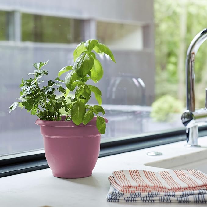 Bloem Ariana 6" Plastic Self-Watering Planter, Dusty Rose, 4-Pack | Self-watering disk at the bottom of each pot that acts as a water wick and reservoir for optimal plant health