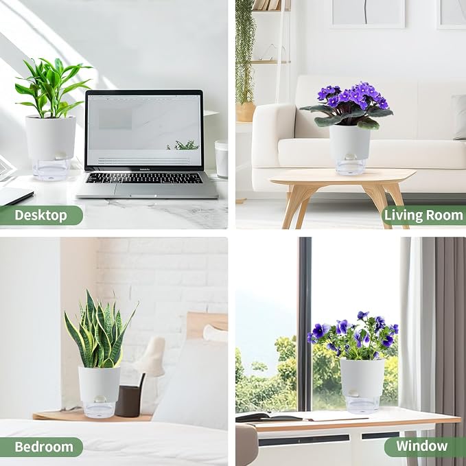 Oliz 6 Inch Self Watering Planter Pots for Indoor Plants, 3 Packs African Violet Pots with Wick Rope and Visible Reservoir Self Watering Planter for Herb, Houseplants