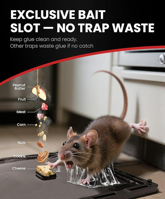Wowcatch Rat, Snake and Mouse Traps 6 PK, Large Bulk Sticky Glue Traps Indoor for Home Pre-baited, Pet Safe Rodent Catcher for Garage, Kitchen, Catches Roaches, Spiders, Lizard, Non-Toxic, Large