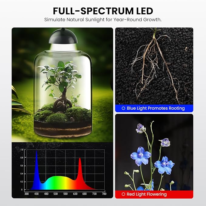 Glass Plant Terrarium with LED Grow Light, Adjustable Ventilation Desktop Indoor Planter for Venus Fly Trap, Moss & Succulents, 8.2" Borosilicate Mini Greenhouse for Home Office Decor