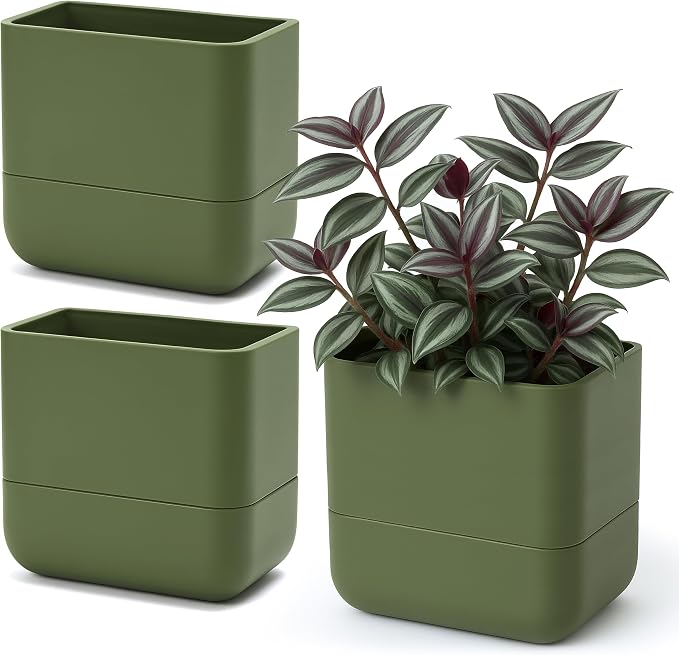 Phoenix Vine 6.5 Inch Wall Mounted Self-Watering Planter Pot for Indoor Houseplants and Herbs | Hanging Planter for Window Sills, Bathroom Walls, Home & Office Décor, Olive, Set of 3, 01-C-F-3