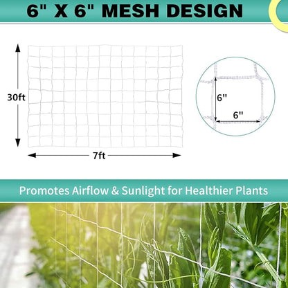 7X 30 Ft Nylon Trellis Netting, 6×6 Heavy Duty Trellis Mesh Garden Netting for Climbing Plants, Use for Tomatoes, Cucumbers, Peas, Grape Racks
