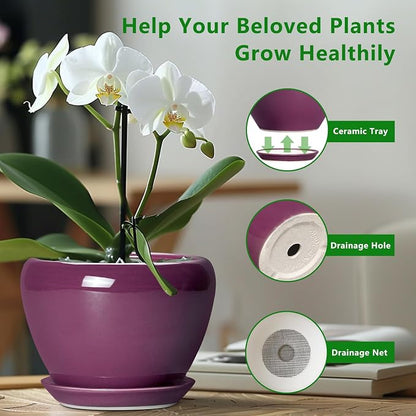 Ceramicfor Ceramic Planter - 8 Inch Plant Pot Indoor with Drainage Hole and Saucer, Glaze Decorative Planter, Round Flower Pot, Plant Lover Gifts, Home Garden Office Decor, Purple