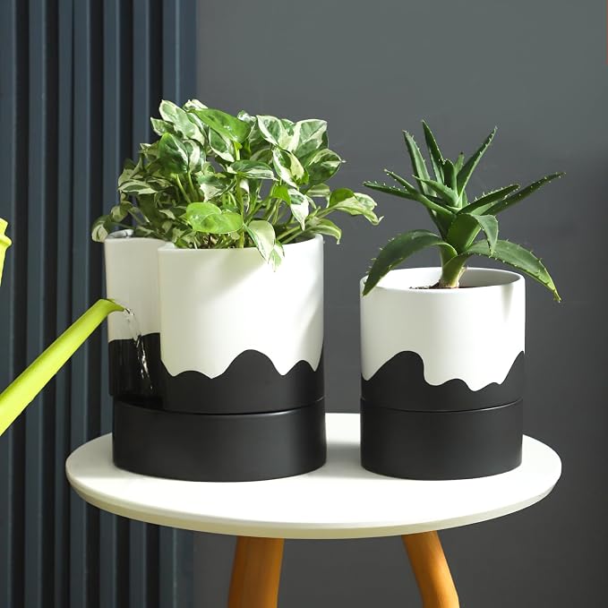 Nihow Self Watering Plant Pot, 8 Inch, White & Wave Black | Ceramic Planter, Drainage Hole & Water Storage Plus, Cylinder Round Flower Pot, Indoor & Outdoor, For Succulent/Herbs/Violets