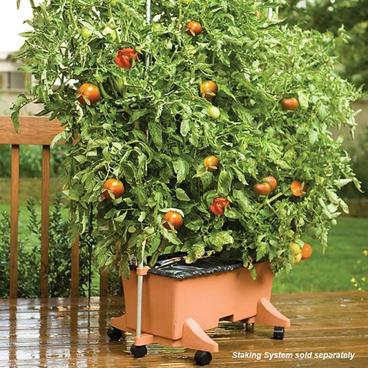 EarthBox 80105 Garden Kit, Standard, Terracotta
