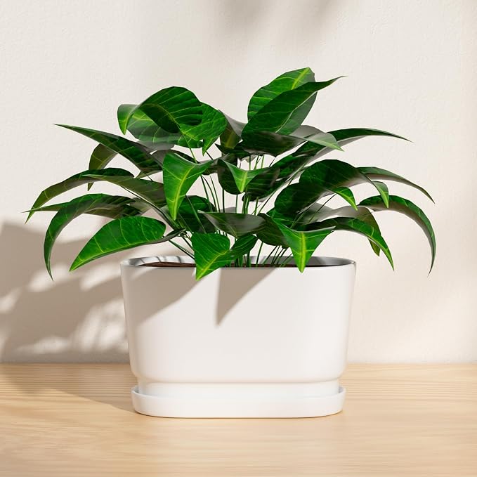 8.9" Rectangular Ceramic Planter with Drainage and Saucer, White | Indoor Outdoor Use, 8.9"L x 4.5"W x 5.3"H, Modern Home Decor, Window Box Planter, Matte White