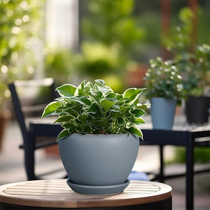 Ceramicfor Ceramic Pot for Plants - 6 Inch Plant Pot Indoor with Drainage Hole and Saucer Decorative Planter for Outdoor Plants Modern Succulent Pots Round Flower Pots Gray