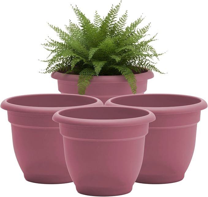 Bloem Ariana 6" Plastic Self-Watering Planter, Dusty Rose, 4-Pack | Self-watering disk at the bottom of each pot that acts as a water wick and reservoir for optimal plant health