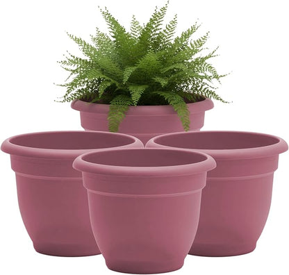 Bloem Ariana 8" Plastic Self-Watering Planter, Dusty Rose, 4-Pack | Self-watering disk at the bottom of each pot that acts as a water wick and reservoir for optimal plant health
