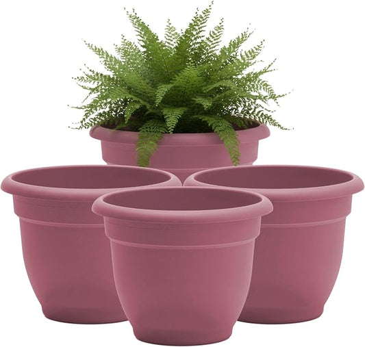 Bloem Ariana 8" Plastic Self-Watering Planter, Dusty Rose, 4-Pack | Self-watering disk at the bottom of each pot that acts as a water wick and reservoir for optimal plant health