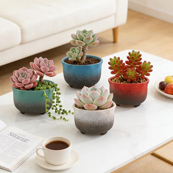 Small Ceramic Garden Pots Succulent Plant Planter Container with Drainage Set of 5 for Home Office Decor