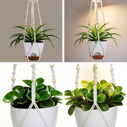 2 Pack Self Watering Hanging Planters with Grow Light for Indoor Plants | 10 Brightness, 3 Light Modes, 3/9/12H Timer, Built-In Reservoir, Drainage Holes, 8 in Pots