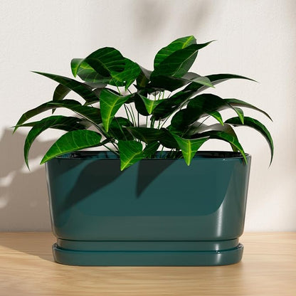 13" Rectangular Ceramic Planter with Drainage and Saucer, Green | Indoor Outdoor Use, 13"L x 5.5"W x 6.3"H, Modern Home Decor, Window Box Planter, Green Glossy Finish