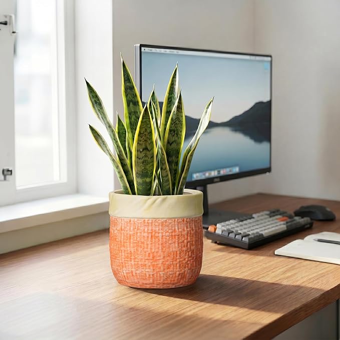 Ceramic Pots for Plants, 6 Inch Planter, Round Plant Pot, Orange | Boho Plant Pot for Indoor Plants, Decorative Flower Pots with Drainage Hole, Bedroom Decor, Housewarming Gifts New Home