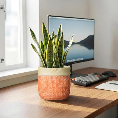 Ceramic Pots for Plants, 6 Inch Planter, Round Plant Pot, Orange | Boho Plant Pot for Indoor Plants, Decorative Flower Pots with Drainage Hole, Bedroom Decor, Housewarming Gifts New Home